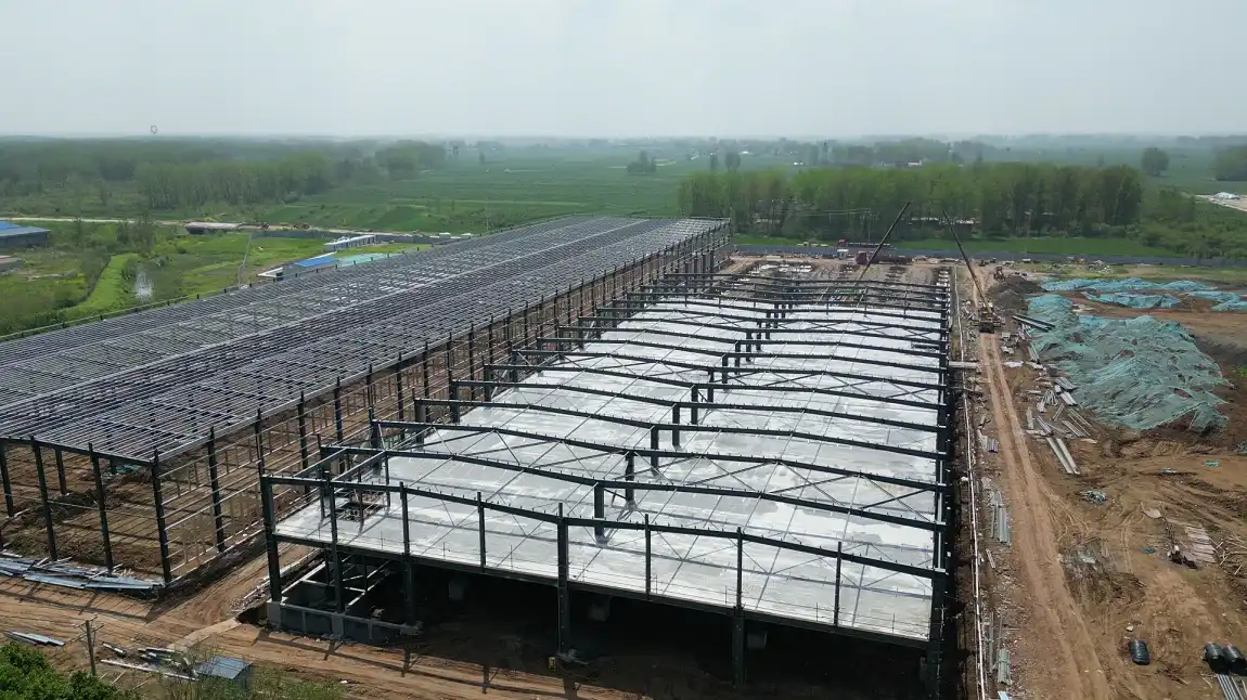 Long-span steel structure
