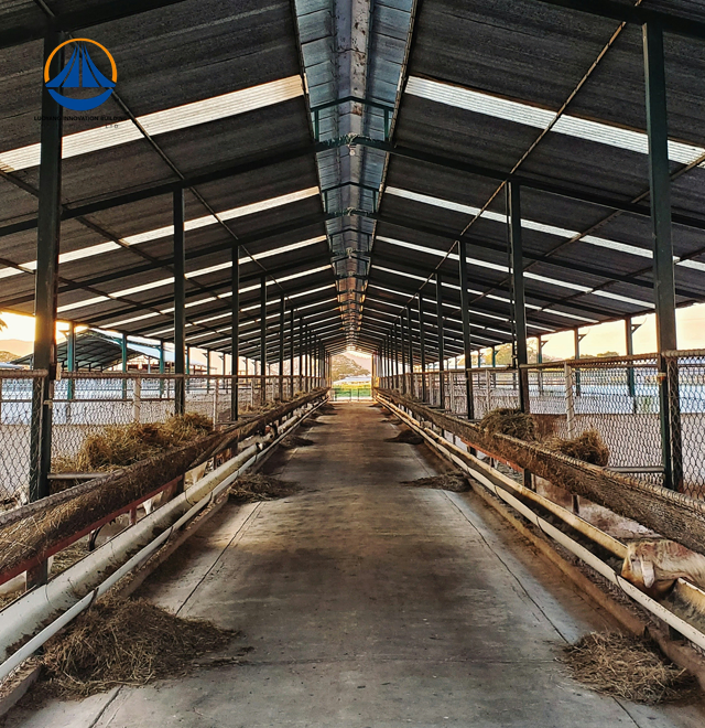 Steel Structure Sheep Barn